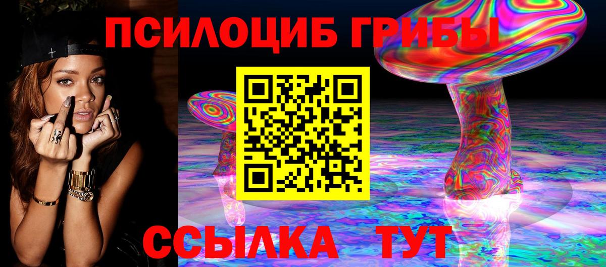 Галлюциногенные грибы мицелий  Псилоцибиновые грибы Psilocybe  Вход с VPN  Карачаевск 